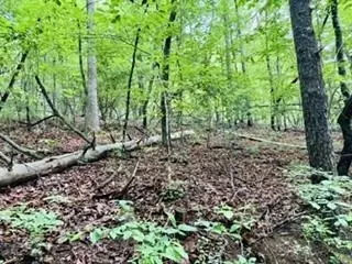 lot107 Pine Terrace Cir, Blue Ridge, GA 30513