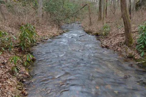 18 19 Sarvis Rd, Hayesville, NC 28904