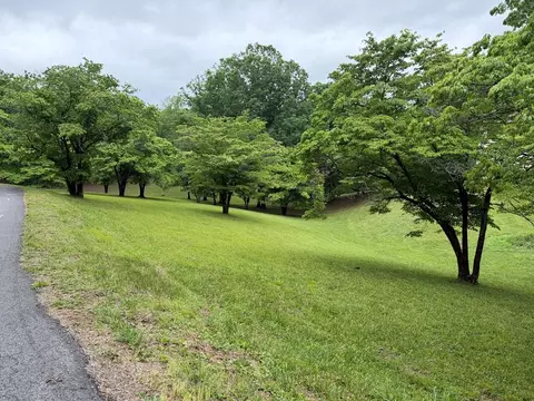 lot4 Drake Ridge Dr, Hayesville, NC 28904
