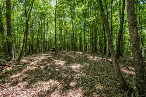 20 Ac Pack Mountain Rd, Murphy, NC 28906