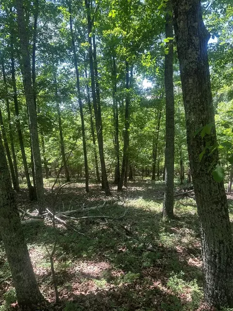 0 Owl Ridge Way, Jasper, GA 30143