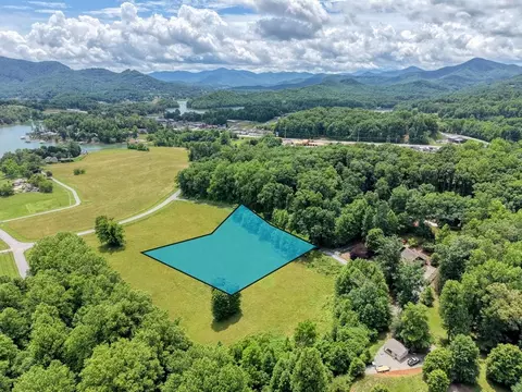 1404 Holly Point Dr, Hiawassee, GA 30546