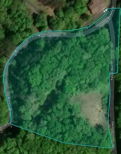 Tr 2 Falcon Overlook, Hayesville, NC 28904