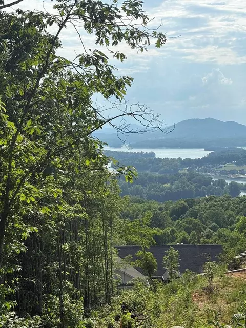 lot46 Dan Knob, Hayesville, NC 28904