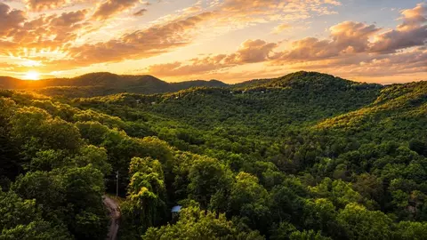 5 58 Gobbler Knob Dr, Ellijay, GA 30540