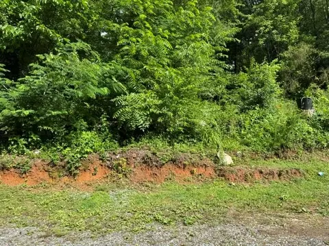 92 Benji Dr, Ellijay, GA 30540