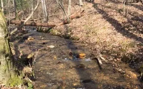 0 Gooch Creek Cv, Suches, GA 30572