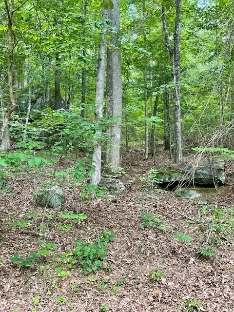 11 Lonesome Pine Rd, Murphy, NC 28906
