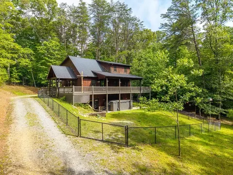 55 Hallee Dr, Mineral Bluff, GA 30559