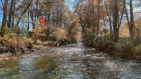 lot3 Big Pine Dr, Hiawassee, GA 30546