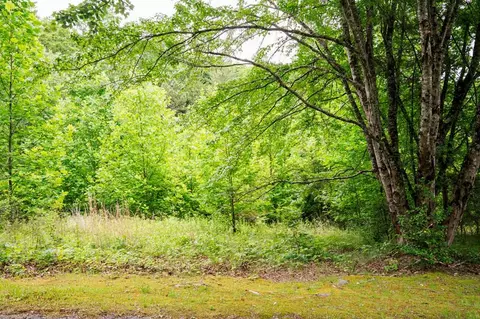 lot29 Hidden Forest Ln, Hayesville, NC 28904