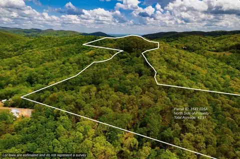 43 91 Old Burnt Mountain Rd, Ellijay, GA 30540