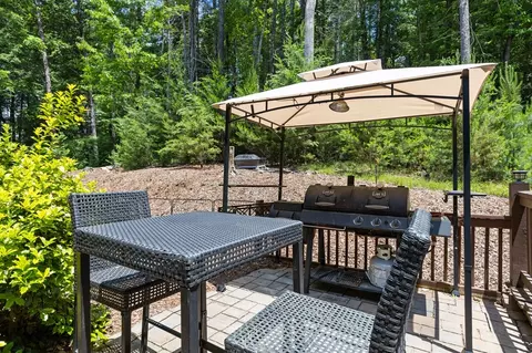 Other - 91 River Rd, Cherry Log, GA 30522 photo 9 of 10