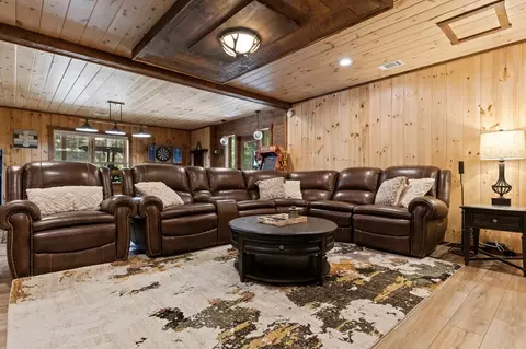 Living - 91 River Rd, Cherry Log, GA 30522 photo 3 of 12