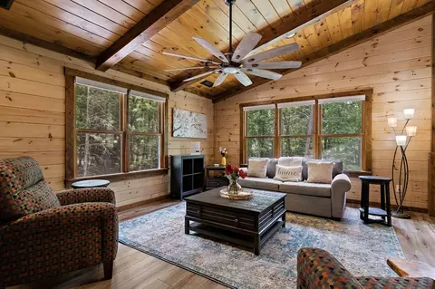 Living - 91 River Rd, Cherry Log, GA 30522 photo 11 of 12