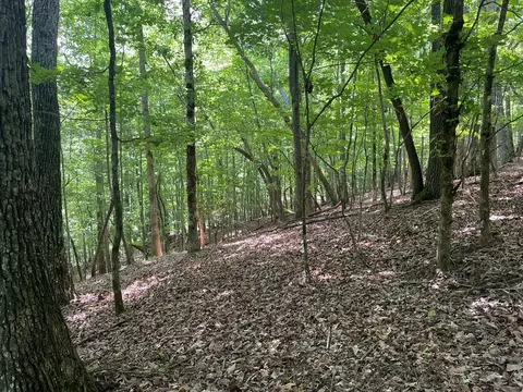 lot11 Brumby Run, Blairsville, GA 30512