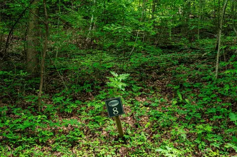8 Skyview Dr, Hayesville, NC 28904