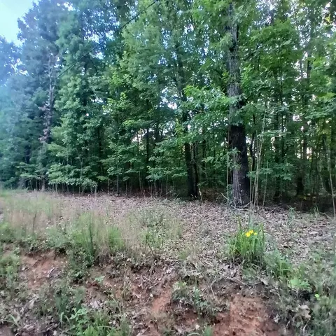 2 Raven Cliff Road, Talking Rock, GA 30175