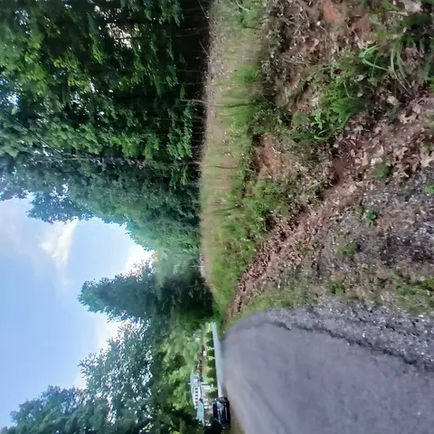 Tr'3 Raven Cliff Road, Talking Rock, GA 30175