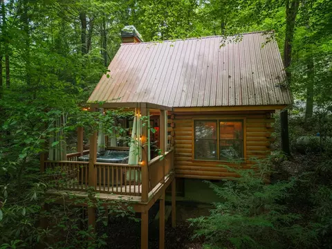 14 Finch Ln, Cherry Log, GA 30522