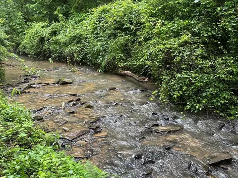 lot103 Rhondas Way, Ellijay, GA 30540