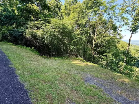 lot2 Deer Crest Overlook, Blue Ridge, GA 30513 photo 7