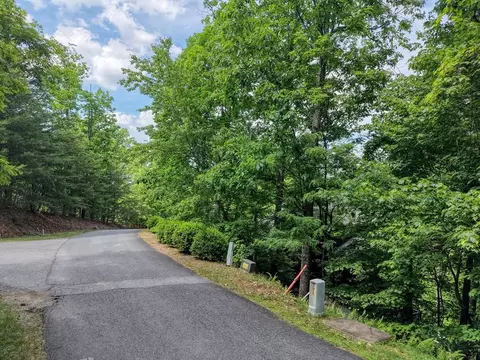lot2 Deer Crest Overlook, Blue Ridge, GA 30513 photo 9