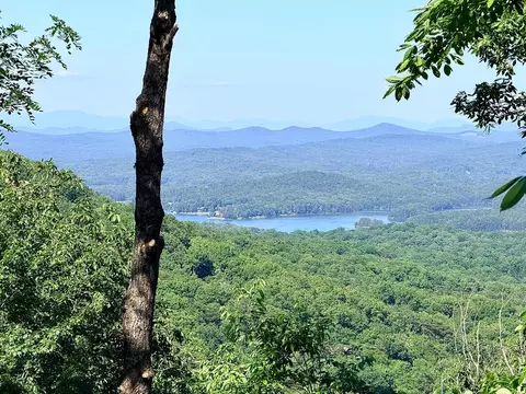 lot2 Deer Crest Overlook, Blue Ridge, GA 30513 photo 4