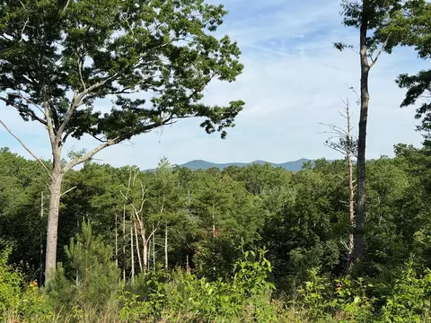 304 Greenwood Ford Road, Ellijay, GA 30540