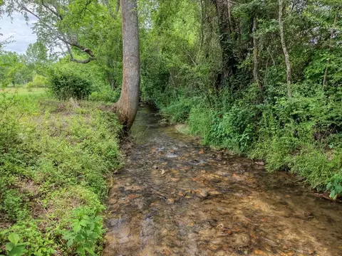 Other - 233 Messer Rd, Warne, NC 28909 photo 1 of 18