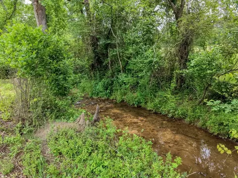 Other - 233 Messer Rd, Warne, NC 28909 photo 14 of 18