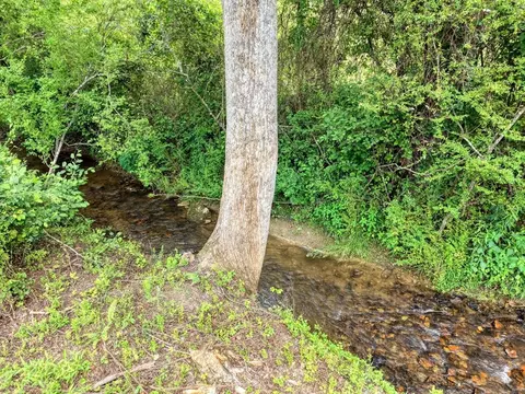 Other - 233 Messer Rd, Warne, NC 28909 photo 17 of 18