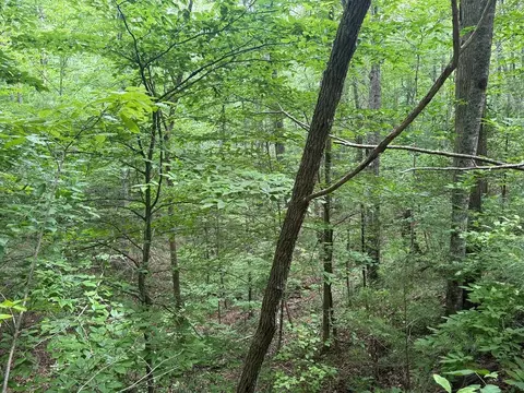1 Ac Spiva Cove Cir, Blairsville, GA 30512