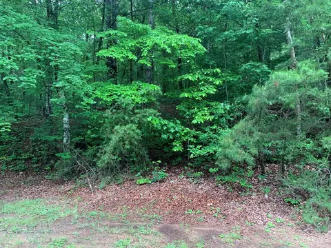 Exterior - 805 Bethabara Rd, Hayesville, NC 28904 photo 14 of 43