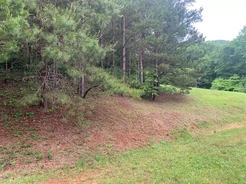 Exterior - 805 Bethabara Rd, Hayesville, NC 28904 photo 15 of 43