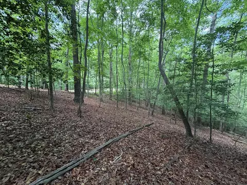 lot1049 Gateway Dr, Ellijay, GA 30540