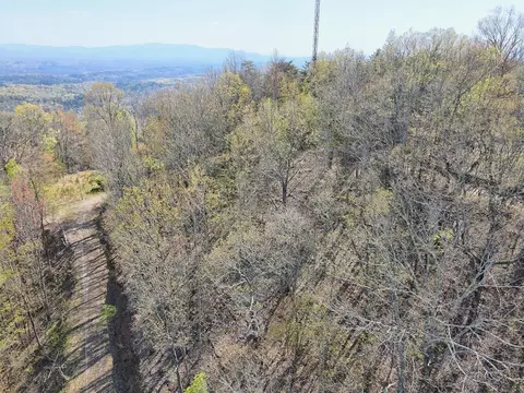 lot36 Moosilaukee Dr, Mineral Bluff, GA 30559