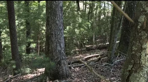 lot3662 Hannah Ct, Ellijay, GA 30540