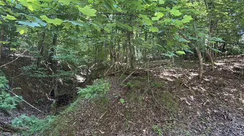 lot1178 Optic Ct, Ellijay, GA 30540