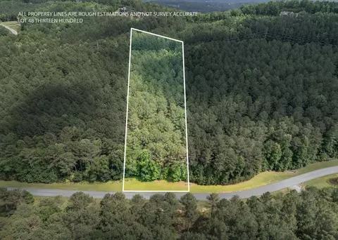 lot48 Thirteen Hundred, Blairsville, GA 30512