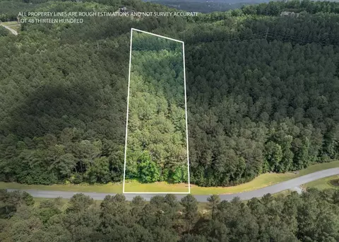 lot48 Thirteen Hundred, Blairsville, GA 30512