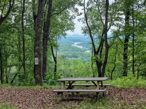 22 Buckhead Hls, Hiawassee, GA 30546
