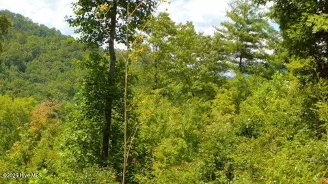 lot16 Tyler Rdg, Murphy, NC 28906 photo 4