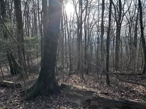 32 Andes Rdg, Jasper, GA 30143 photo 13