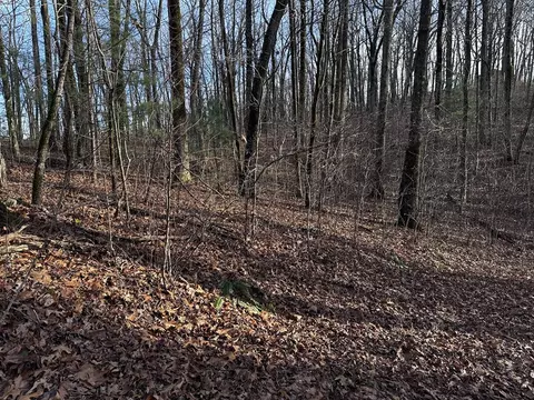 32 Andes Rdg, Jasper, GA 30143 photo 15