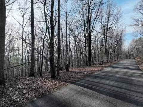 32 Andes Rdg, Jasper, GA 30143 photo 19