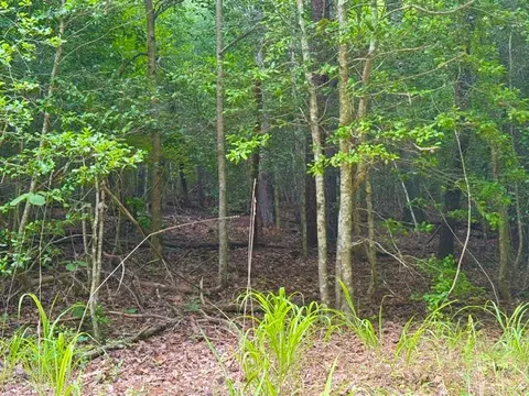 9 Timberline Road, Murphy, NC 28906 photo 10