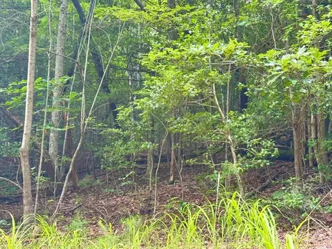 9 Timberline Road, Murphy, NC 28906 photo 9