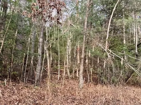 9 Timberline Road, Murphy, NC 28906 photo 6
