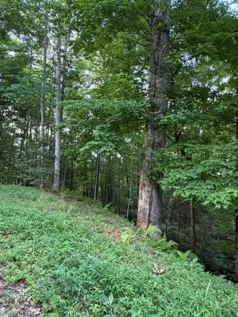 lot59 Quiet Mountain Trl, Murphy, NC 28906
